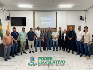 11ª Reunião Plenária Ordinária